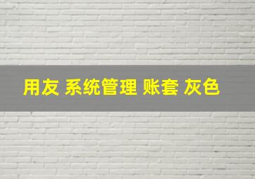 用友 系统管理 账套 灰色